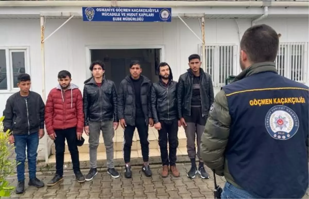Osmaniye'de 6 Suriye uyruklu kaçak göçmen yakalandı