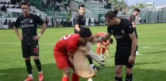 TFF 2. Lig maçında sahaya giren köpek futbolcular tarafından kucaklandı