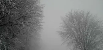 Çanakkale'nin yüksek kesimleri karla kaplandı