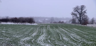 Edirne'de kar yağışı buğday üreticilerini sevindirdi