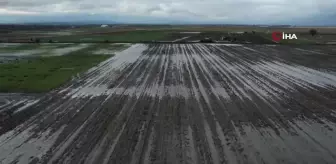 Karacabey Ovası sular altında kaldı