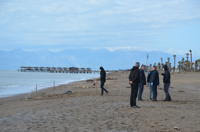 Antalya sahillerinde bulunan ceset sayısı 8'e yükseldi