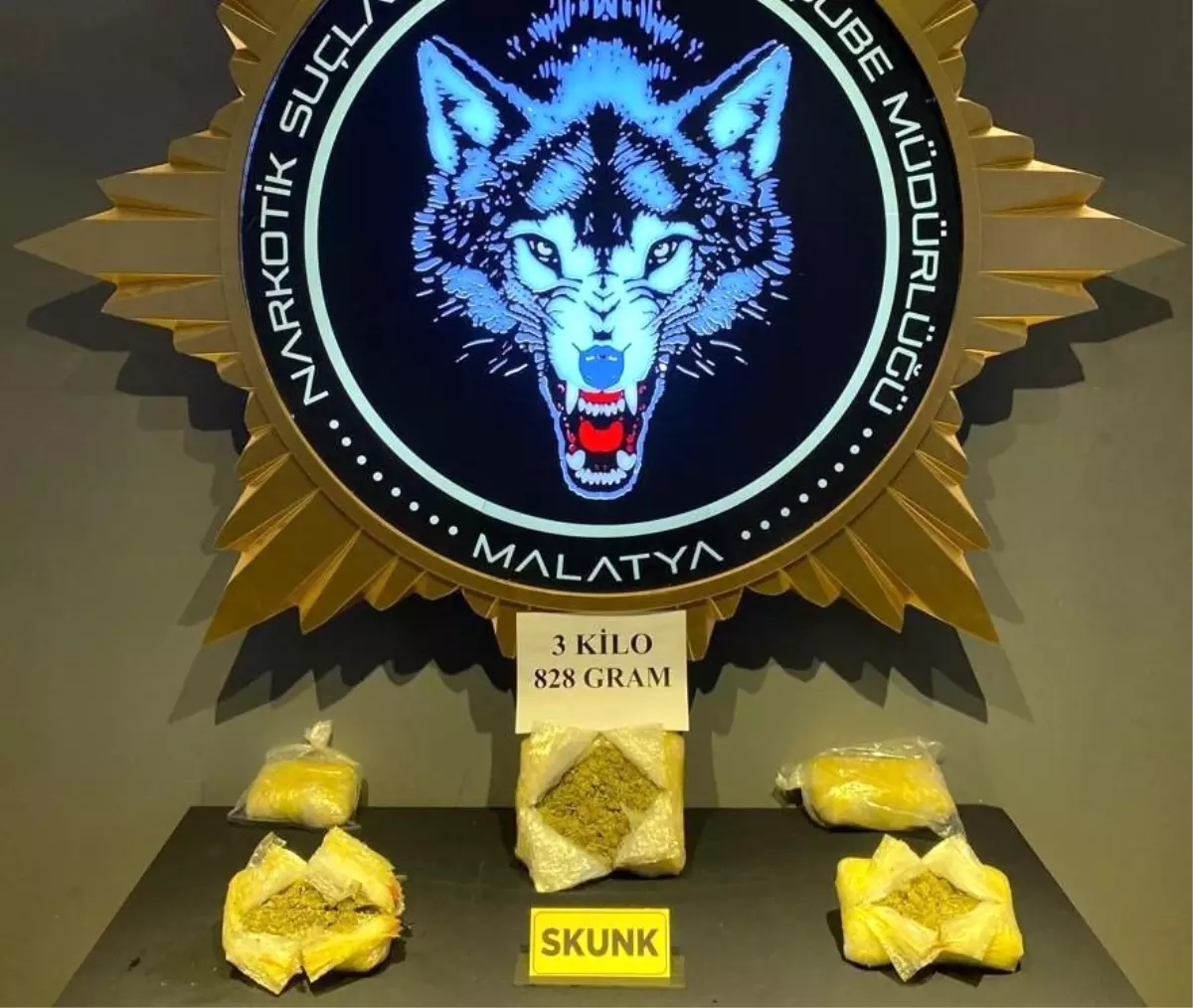 Malatya'da Zehir Tacirlerine Operasyon: 3 Kilo 828 Gram Skunk ve 30 Bin Sentetik Ecza Hap Ele Geçirildi