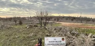 Mardin'de el yapımı patlayıcı imha edildi