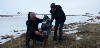 Tatvan'da Kar Nedeniyle Yiyecek Bulamayan Yaban Hayvanlarına Yardım