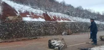 Tokat Almus'ta Yağışlar Nedeniyle Kaya Parçaları Yolu Kapattı