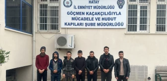Hatay'da düzensiz göçmen operasyonu: 12 göçmen yakalandı, 1 şüpheli tutuklandı