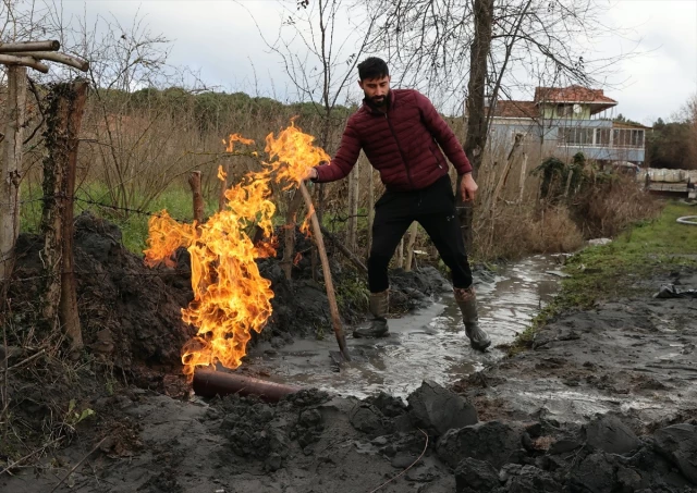 Samsun'da fındık ve çeltik tarlalarında yapılan sondajda yanıcı gaz çıktı