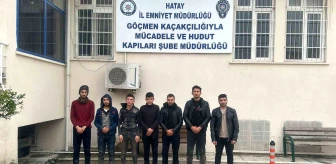 Hatay'da 12 kaçak göçmen yakalandı, 1 kişi tutuklandı