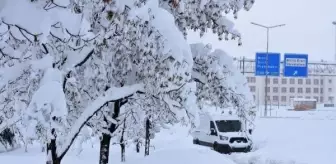 Bitlis'te Kar Yağışı: 266 Köy Yolu Ulaşıma Kapandı