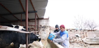 İşitme engelli çiftçi İŞKUR desteğiyle hayvancılık yapıyor