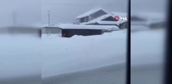 Japonya'da şiddetli kar yağışı: Uçuşlar iptal edildi