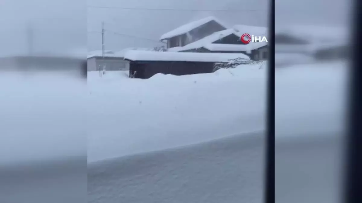 Japonya'da şiddetli kar yağışı: Uçuşlar iptal edildi