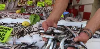 Karadeniz'de Hamsi Göç Etti