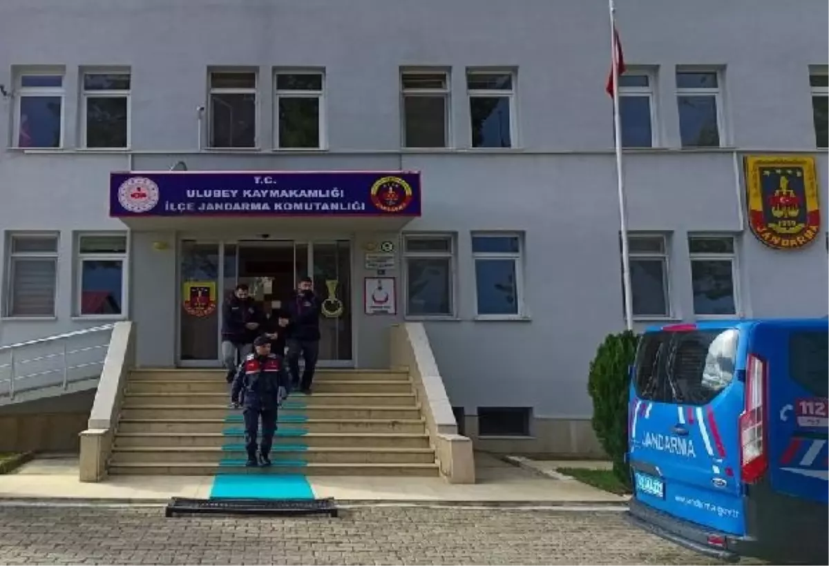 Ordu'da Bir Evden 1 Ton Fındık Çalıp Satmaya Çalışan Şüpheli Tutuklandı