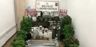 Marmaris'te uyuşturucu operasyonu: 1 gümüş sikke ele geçirildi