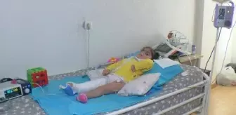 SMA Hastası Kız İçin Yardım Kampanyası Yüzde 63'e Ulaştı