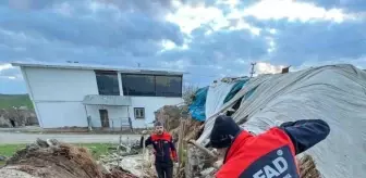 Batman'da yağış nedeniyle çöken ahırın altında kalan 8 yavru köpekten 5'i kurtarıldı