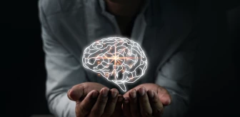 Alzheimer genetik mi? Beyin hastalıklarının tedavisi mümkün mü?