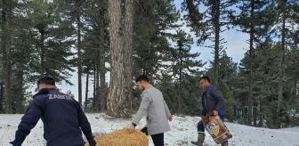 Demirci'de Kar Yağışının Ardından Yaban Hayvanlarına Yem Bırakıldı
