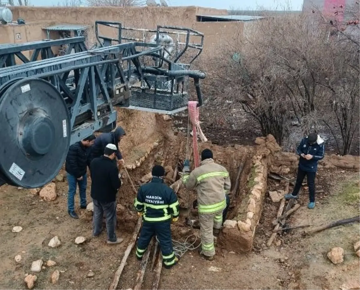 Mardin'de fosseptiğe düşen eşek itfaiye ekipleri tarafından kurtarıldı