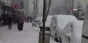 Hakkari'de lapa lapa kar yağışı