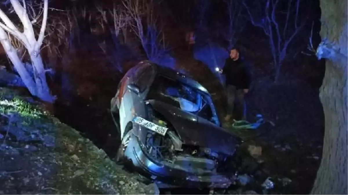 Amasya'da hamile sürücü ağaca çarptı