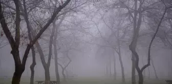 Manisa'nın Turgutlu ilçesinde yoğun sis etkili oldu