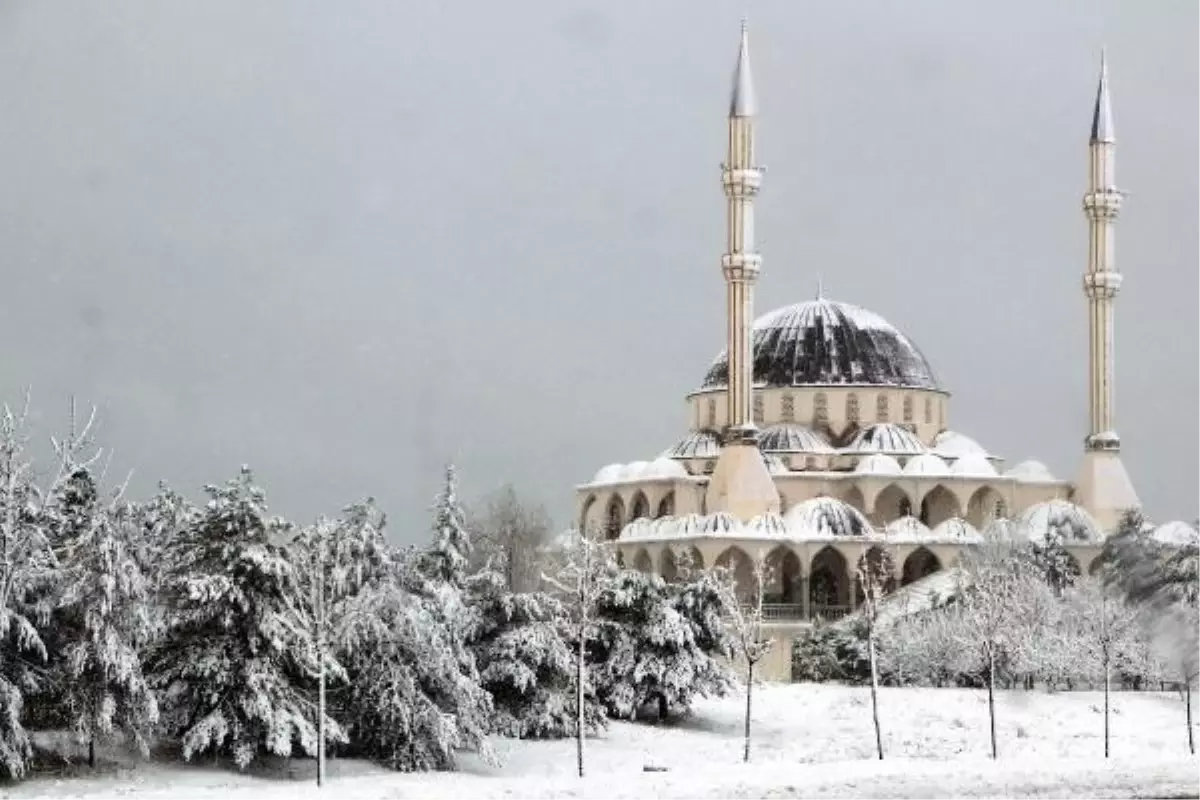 Van'da kardan kapanan 201 yerleşim yeri yolundan 175'i açıldı