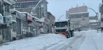 Van'ın Başkale ilçesinde etkili olan kar nedeniyle 88 yerleşim yerine ulaşım sağlanamıyor