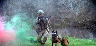 TSK'nın eğitimli köpekleri operasyonlarda etkin rol oynuyor