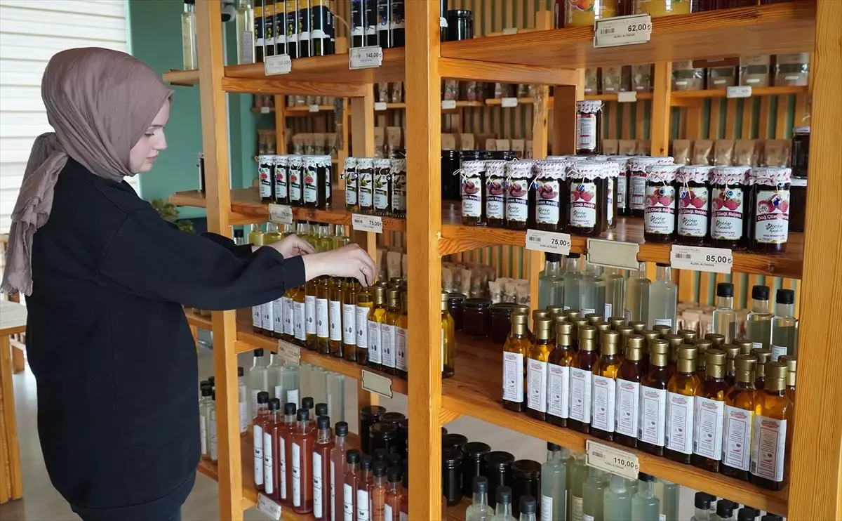 Yalova'da Tıbbi Aromatik Bitkiler Bahçesi'nde İtir Hasadı Başladı