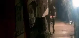 Adana'da Elektrik Kablosu Hırsızı Yakalandı