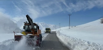 Yüksekova-Dağlıca yolunda çığ nedeniyle kapanma