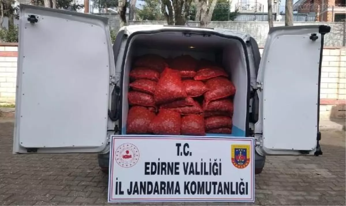 Edirne'de 1 Ton Kaçak Kum Midyesi Ele Geçirildi