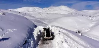 Bitlis'te Kar Yağışı Nedeniyle Kapanan Köy Yollarının Çoğu Ulaşıma Açıldı