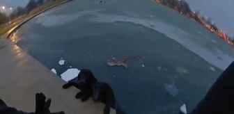 Polis, buzlu gölette mahsur kalan köpekleri kurtardı