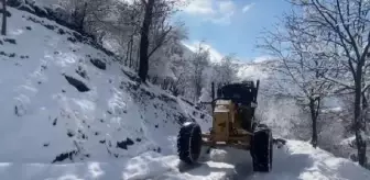 Batman'ın Sason ilçesinde 10 köy ve 33 mezra yolu kar nedeniyle ulaşıma kapandı