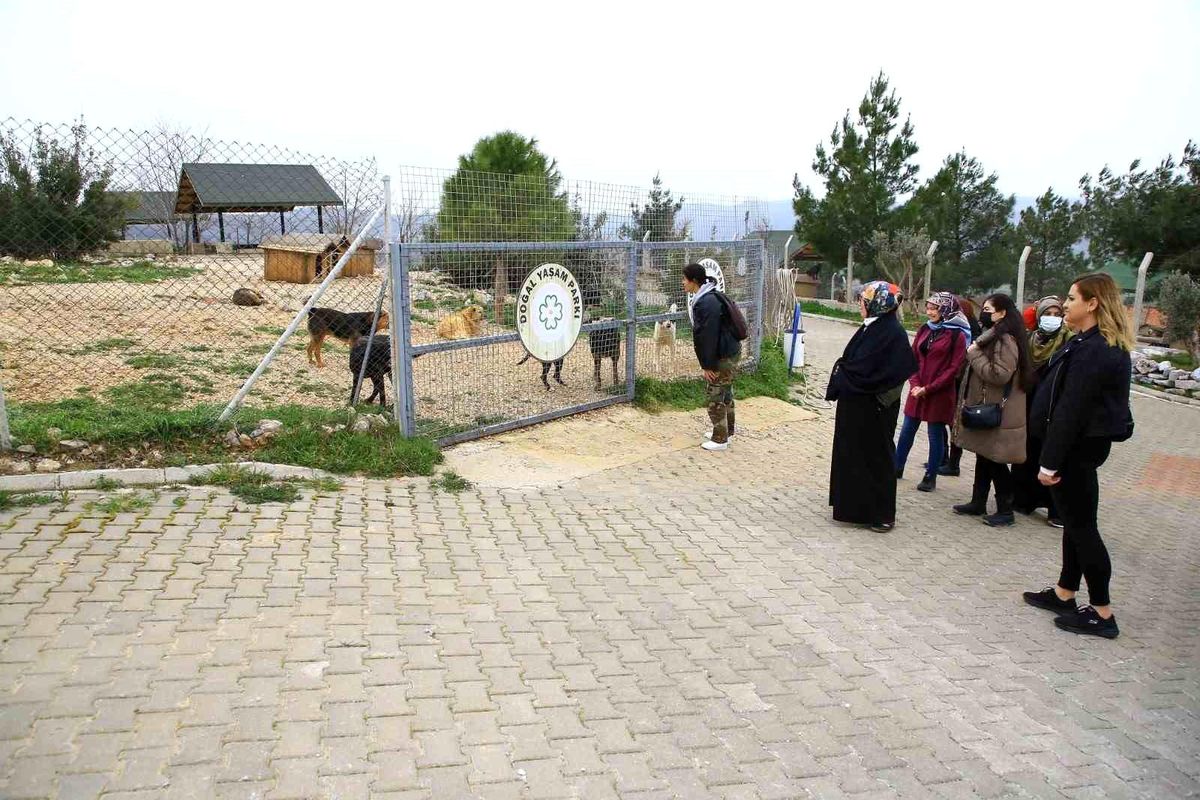Muğla Büyükşehir Belediyesi Geçici Hayvan Bakımevi'ni 24 Bin Kişi Ziyaret Etti
