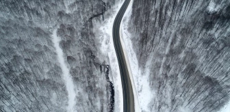 Istranca Ormanları'nda Kar Yağışının Oluşturduğu Güzel Manzara Görüntülendi