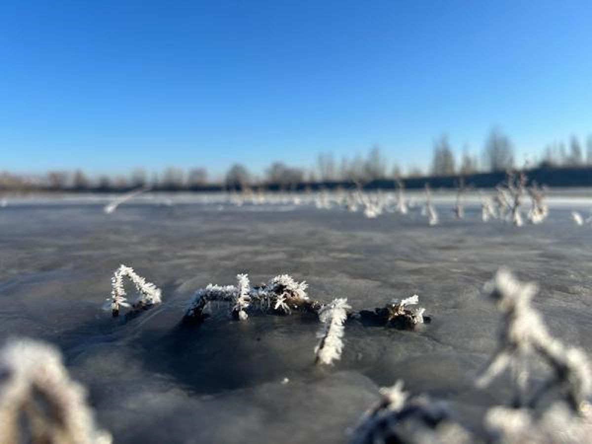 Sivas'ta Hava Sıcaklığı Sıfırın Altına Düştü, Serpincik Göleti Buz Tuttu