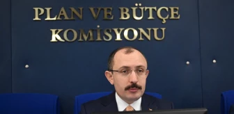 TBMM Plan ve Bütçe Komisyonunda, Türkiye Varlık Fonu denetimi görüşülüyor