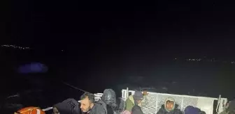 Bodrum'da 54 kaçak göçmen yakalandı