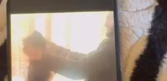 Köpeğe eziyet eden şüpheli yakalandı