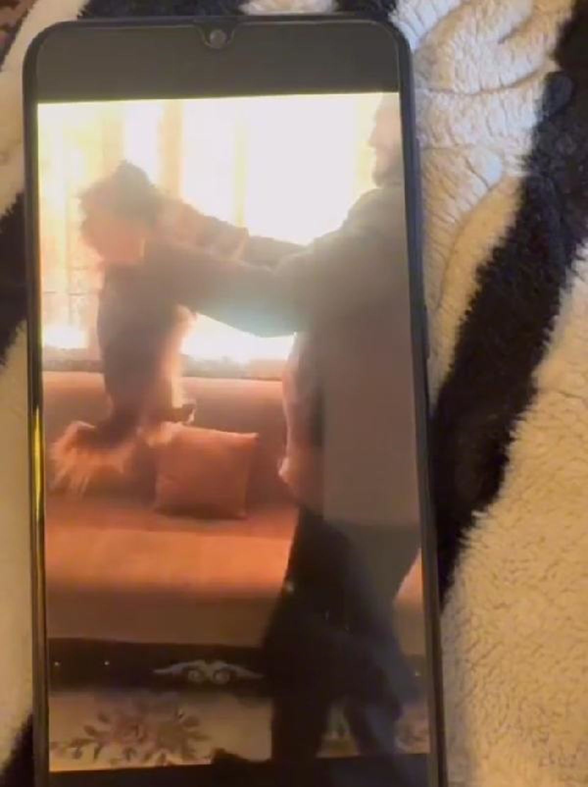 Köpeğe eziyet eden şüpheli yakalandı
