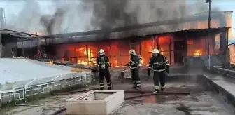 Diyarbakır'da Güvercin Oteline Yangın: 300'e Yakın Güvercin Öldü