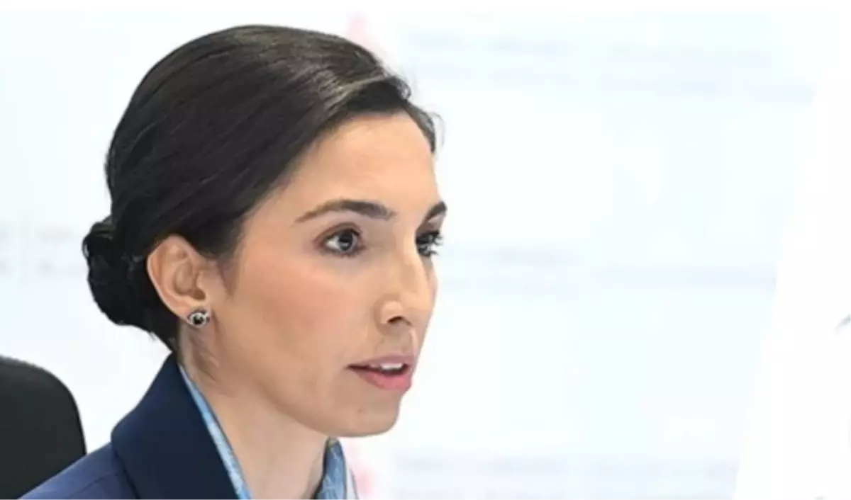 Hafize Gaye Erkan (MB) neden istifa etti?