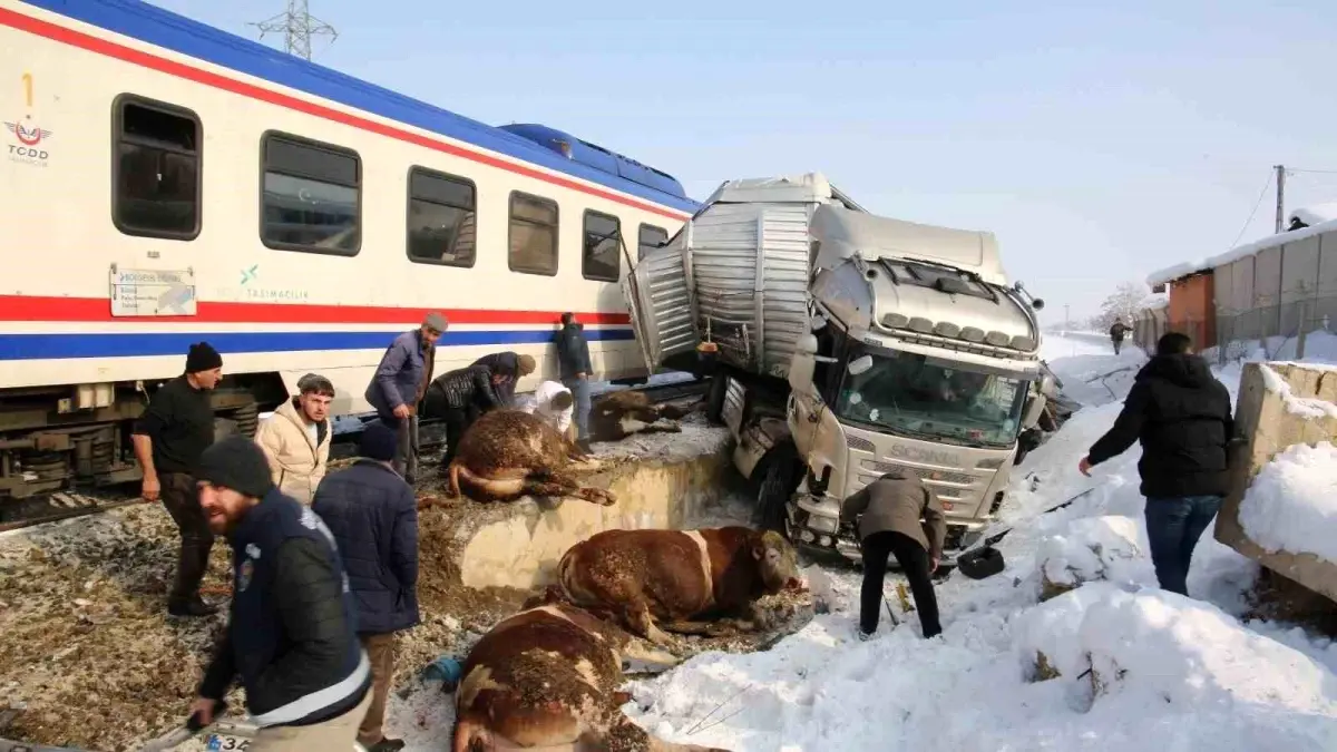 Muş'ta Tren ve Tır Çarpışması: 2 Kişi Hayatını Kaybetti, 2 Kişi Yaralandı