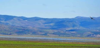 Marmara Gölü'nün tarıma açılmasına ilişkin protokolün iptali için dava açıldı