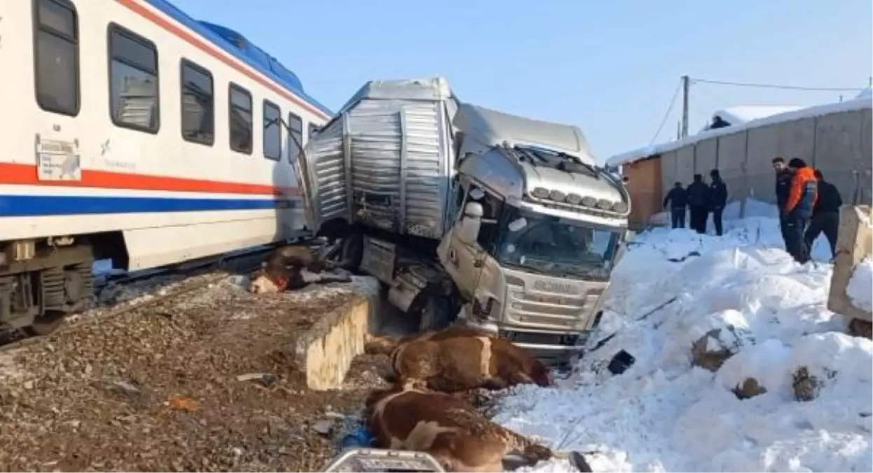 Muş'ta Yolcu Treni Boğa Yüklü TIR'a Çarptı: 2 Ölü, 2 Yaralı